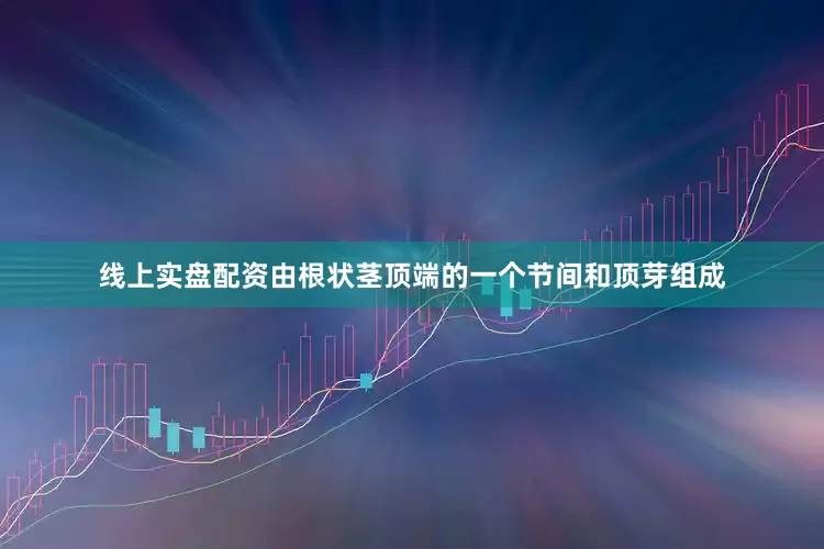 线上实盘配资由根状茎顶端的一个节间和顶芽组成