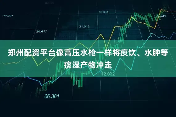 郑州配资平台像高压水枪一样将痰饮、水肿等痰湿产物冲走