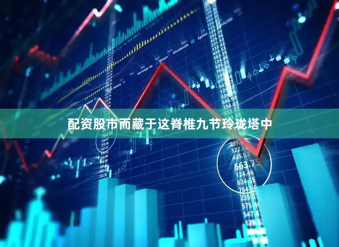 配资股市而藏于这脊椎九节玲珑塔中